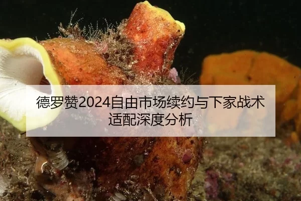 德罗赞2024自由市场续约与下家战术适配深度分析