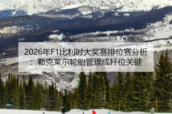 nian-bi-li-shi-da-jiang-sai-pai-wei-sai-fen-xi-lei-ke-lai-er-lun-tai-guan-li-cheng-gan-wei-guan-jian-2-299.jpg